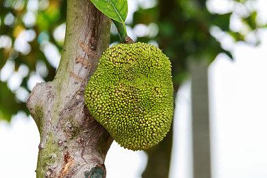 卡通风格恐怖游戏《午夜地铁》将于今年登录主机平台 